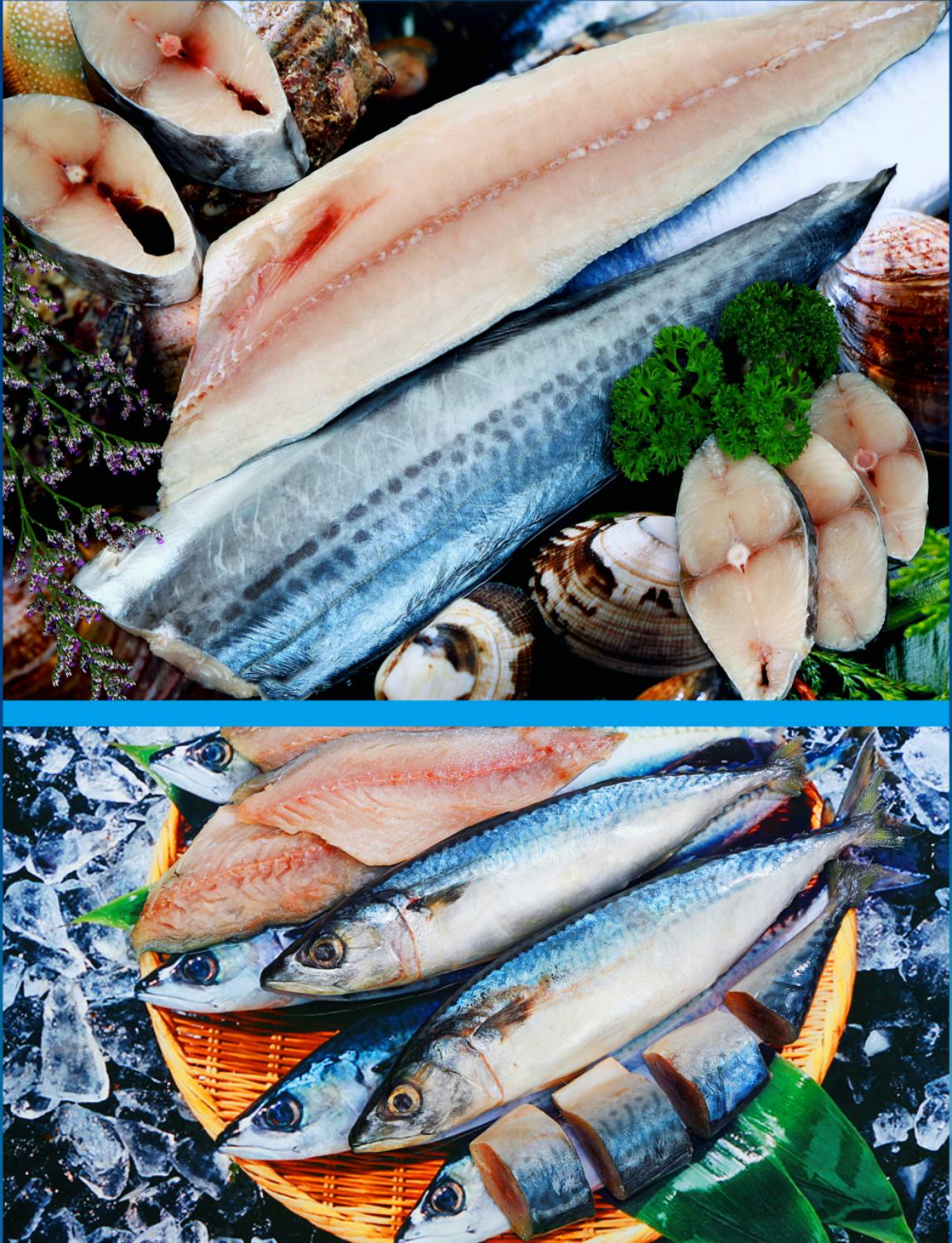 Zhejiang Export Commodity Online Fairasiapacific aquaculture expo