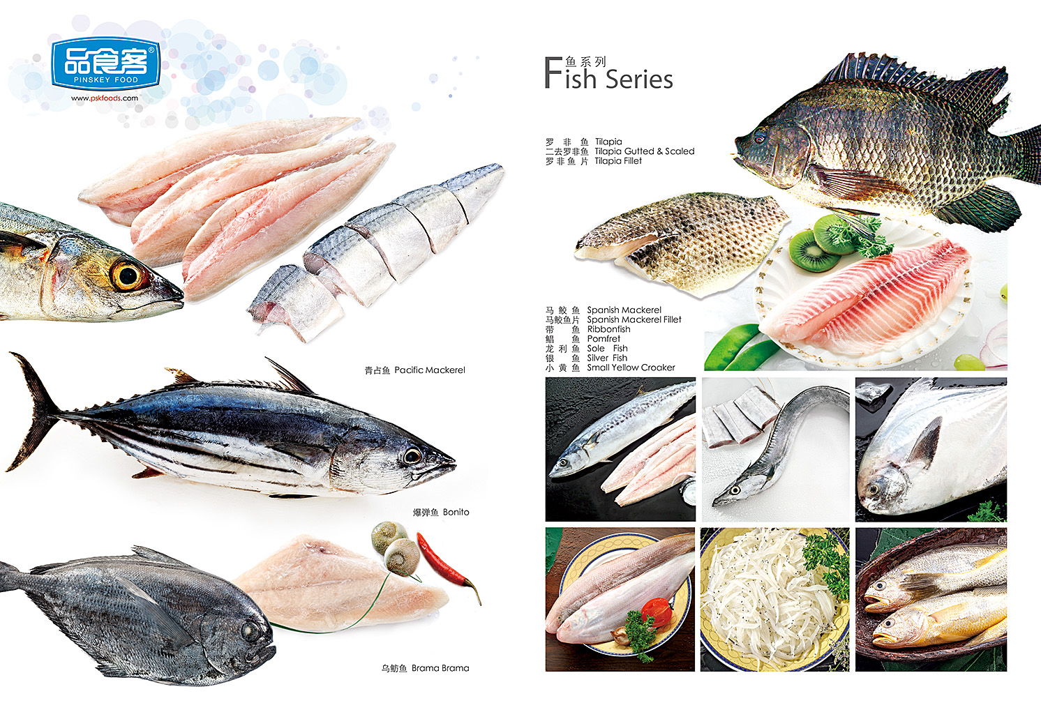 鱼系列 FISH SERIES-2