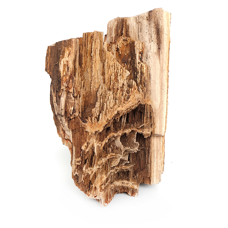 Palm vein rock