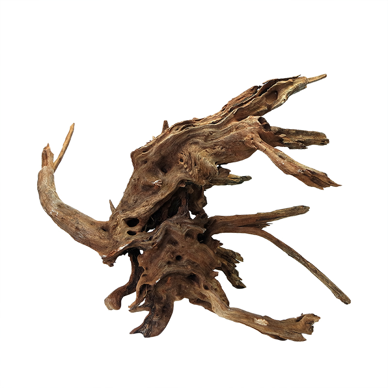 Drift Wood