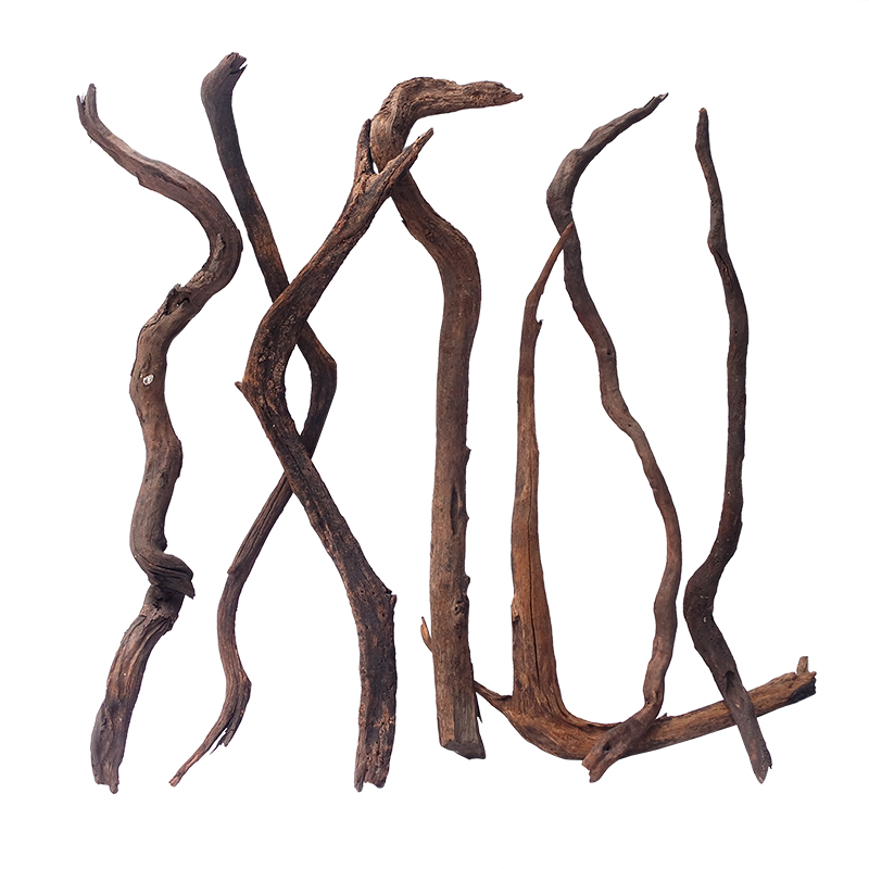 Magic Drift Wood