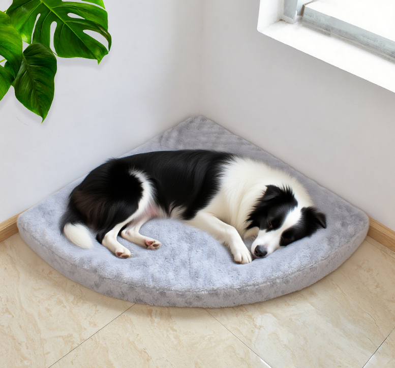 Pet fan-shaped mat