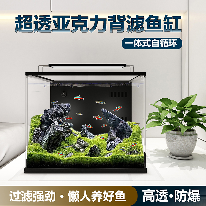 Back-filter aquarium